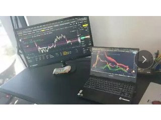 How To Trade Bitcoin/Crypto Profitably (1 on 1 Training) $500