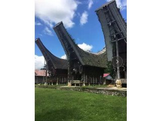 Visit amazing Toraja Land South Sulawesi