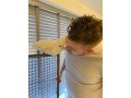 breasted-umbrella-cockatoo-parrots-for-sale-small-0