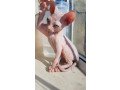 sphynx-kittens-for-sale-small-0